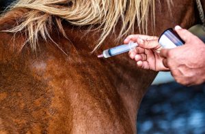 Can a Veterinarian Be Liable for a Horse Doping Violation?