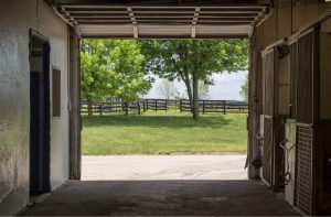 horse stabling costs dispute