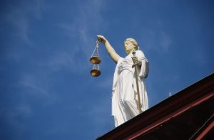 Horse purchase annulment enforcement