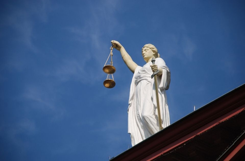 Horse purchase annulment enforcement