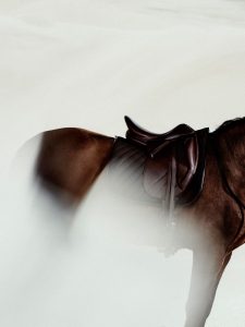 Learn more about Human Doping in Equestrian Sport