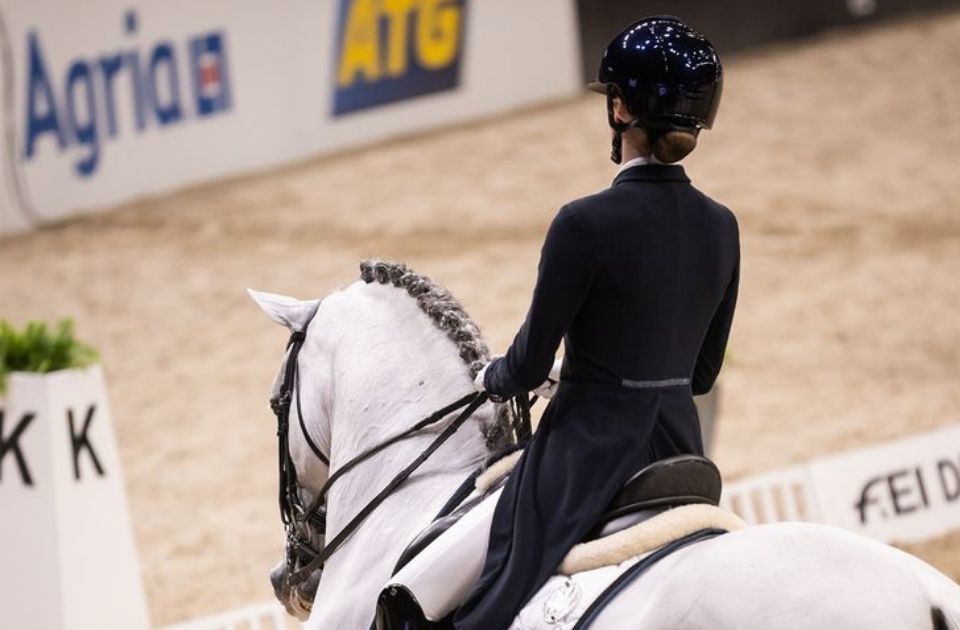 Schelstraete wins on appeal in misrepresentation horse sale case.