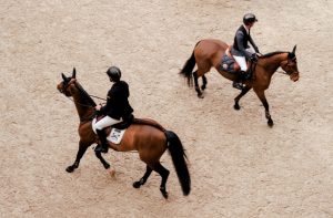 Case Result: International Horse Ownership Dispute Successfully Resolved