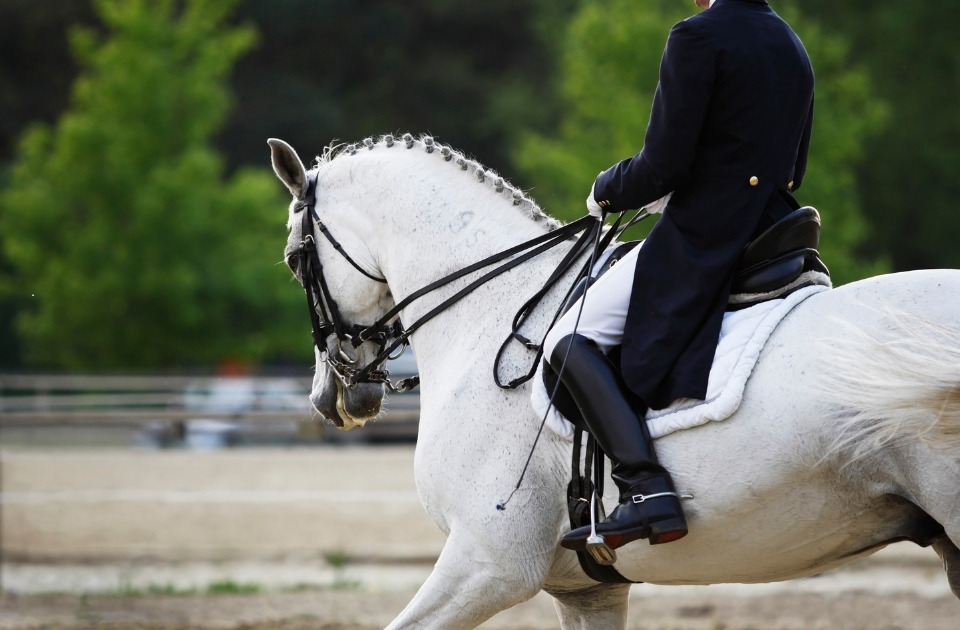 assistance with applying for a GVVA