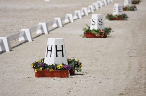 Mediation in de paardenwereld