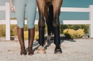 Successful appeal in horse purchase dispute involving hidden defects