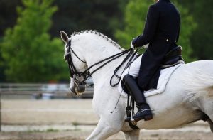 Equestrian Anti-Doping Rules: WADA & FEI Impact on Riders