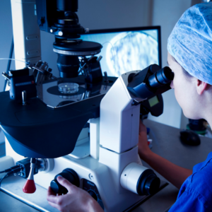 OPU/ICSI reproductive techniques