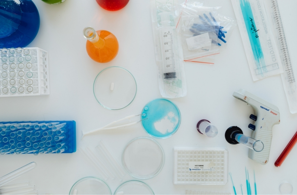 Gene Modification in Equestrian Sport