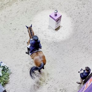 Schelstraete Equine Law wins Horse Purchase Dispute