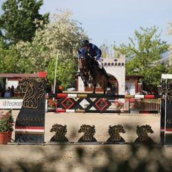 Al Shira’aa Le Lame Sagrantino