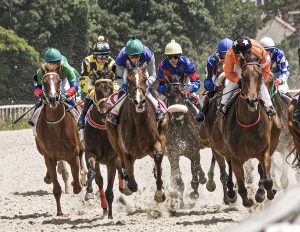 Leading Equine and Sports lawyers in the United States advising US and international clients on transactions, litigation and more.