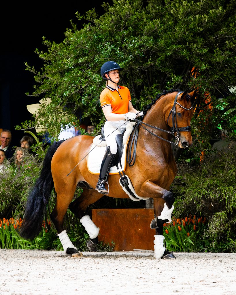 Equine lawyers specializing in equine and sports law