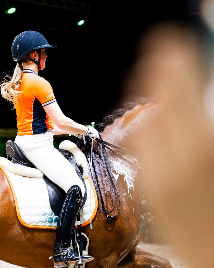 Hippische advocaten met expertise in hippisch recht en sportrecht.