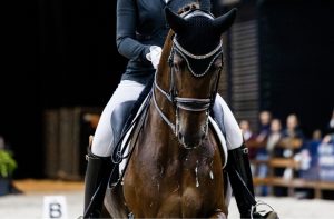 Schelstraete Equine Law to attend the Dutch Masters 2026