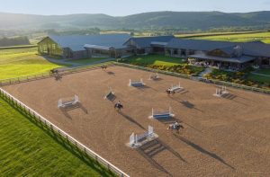 EU Inc. Explained: Impact on Equine Businesses