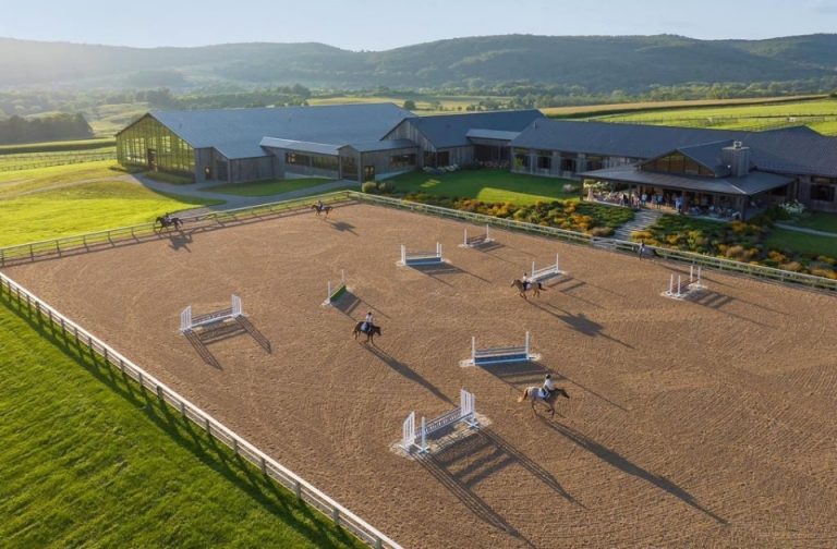 EU Inc. Explained: Impact on Equine Businesses