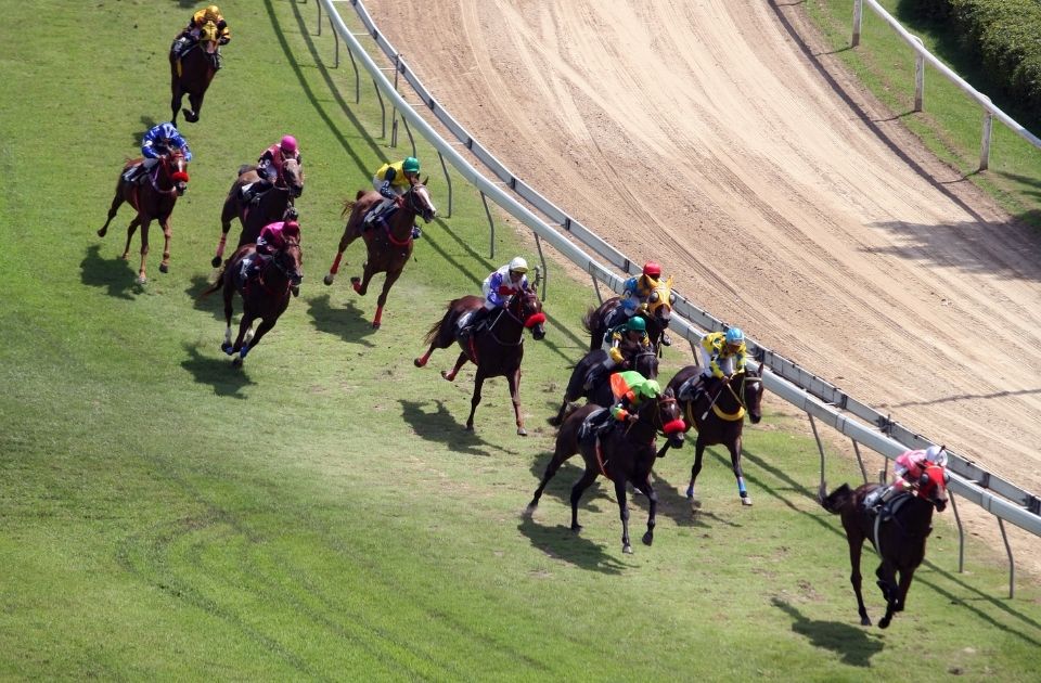 Disciplinary and anti-doping lawyers