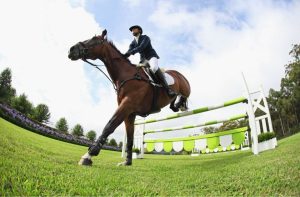 FEI Prize Money Distribution Rules