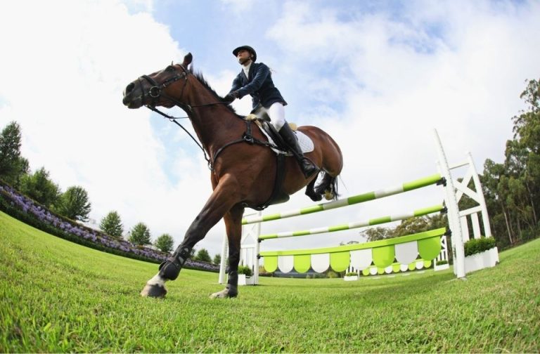 FEI Prize Money Distribution Rules